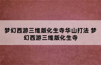 梦幻西游三维版化生寺华山打法 梦幻西游三维版化生寺